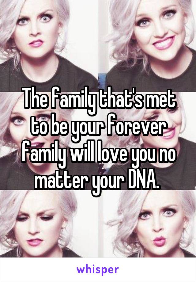 The family that's met to be your forever family will love you no matter your DNA. 