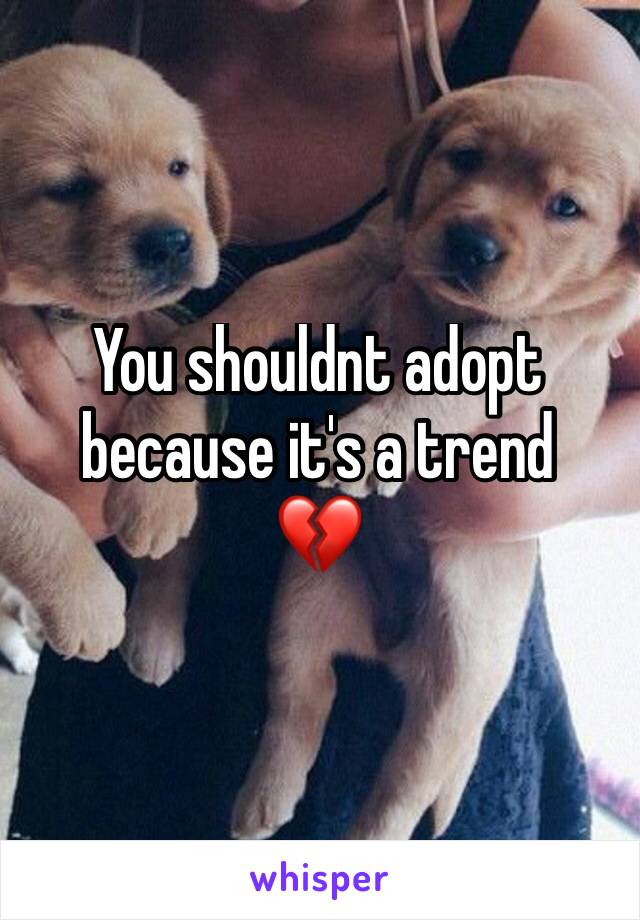 You shouldnt adopt because it's a trend 
💔