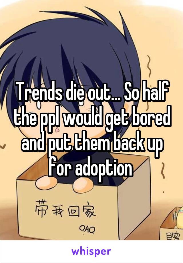 Trends die out... So half the ppl would get bored and put them back up for adoption 