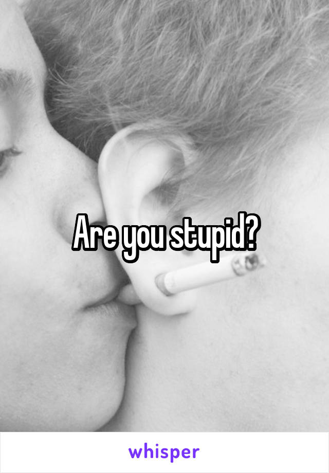 Are you stupid?