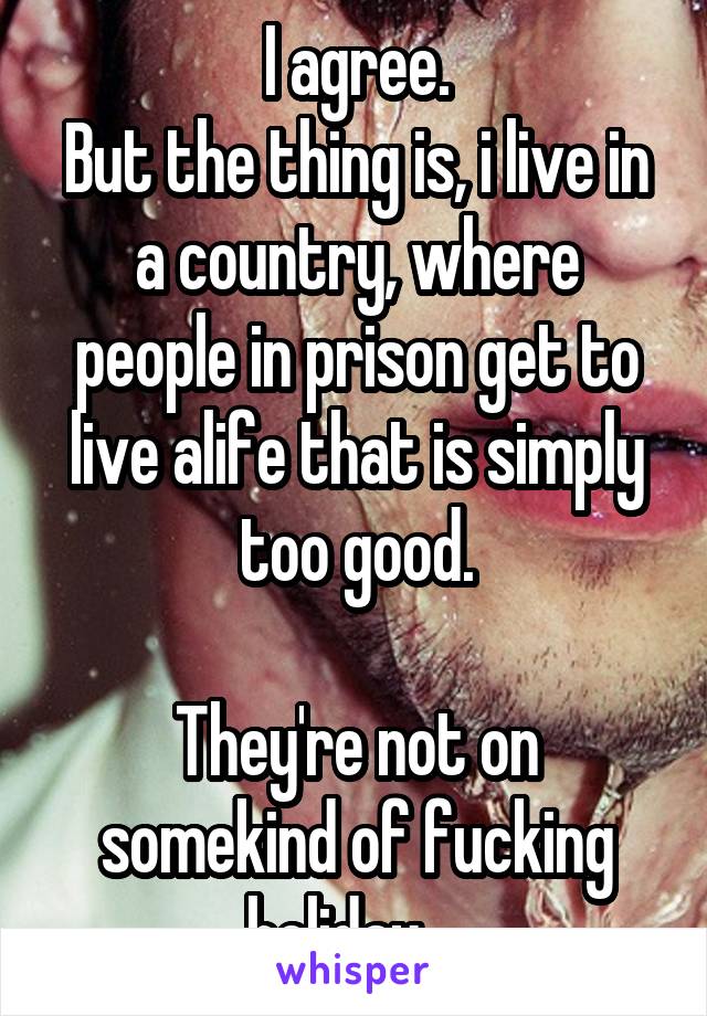 I agree.
But the thing is, i live in a country, where people in prison get to live alife that is simply too good.

They're not on somekind of fucking holiday....