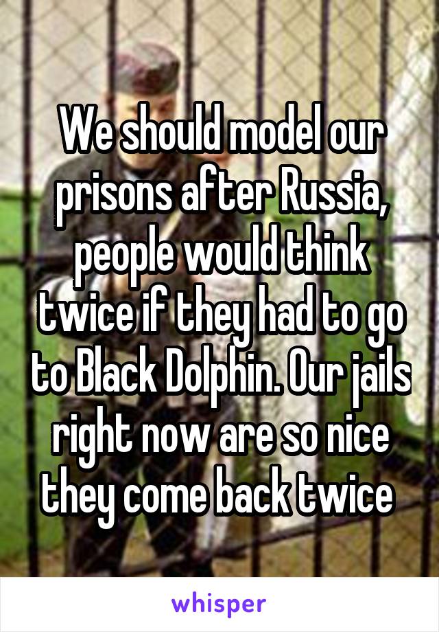 We should model our prisons after Russia, people would think twice if they had to go to Black Dolphin. Our jails right now are so nice they come back twice 