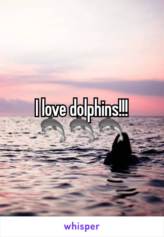 I love dolphins!!!
🐬🐬🐬