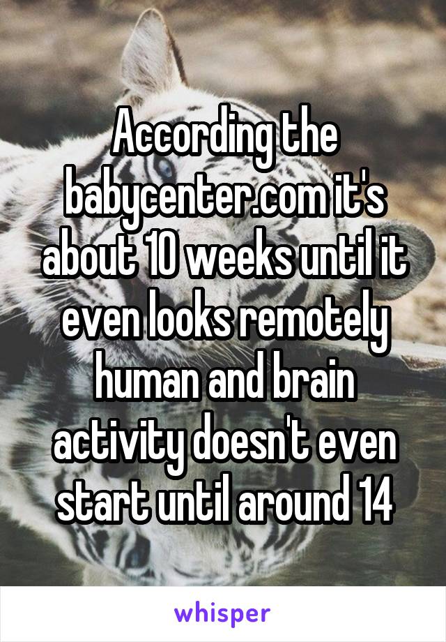 According the babycenter.com it's about 10 weeks until it even looks remotely human and brain activity doesn't even start until around 14