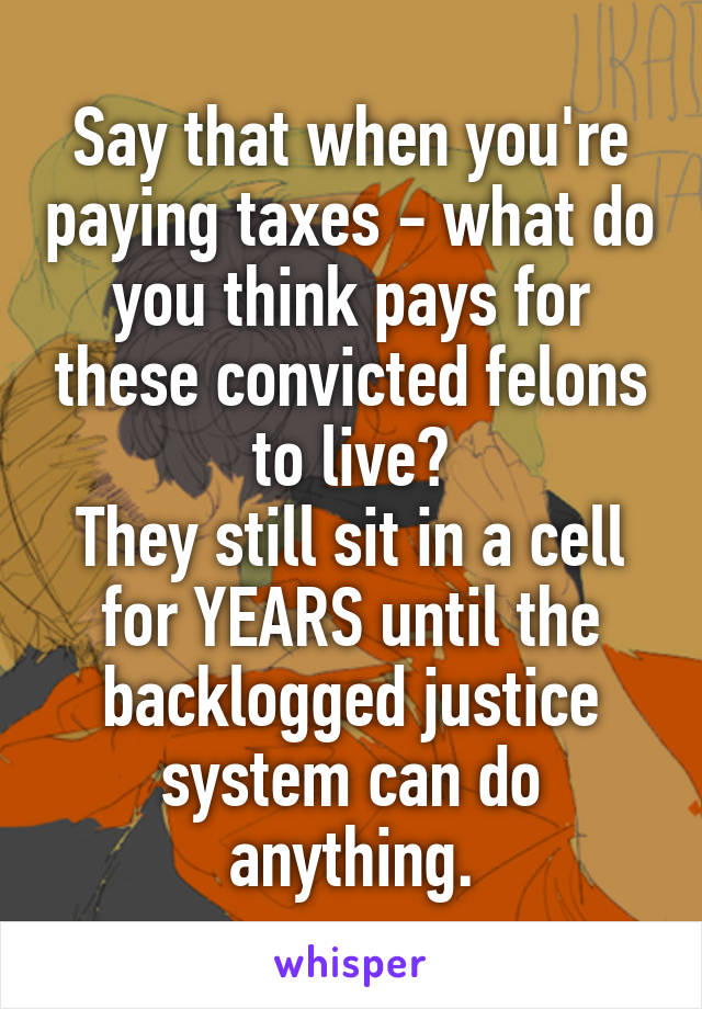 Say that when you're paying taxes - what do you think pays for these convicted felons to live?
They still sit in a cell for YEARS until the backlogged justice system can do anything.