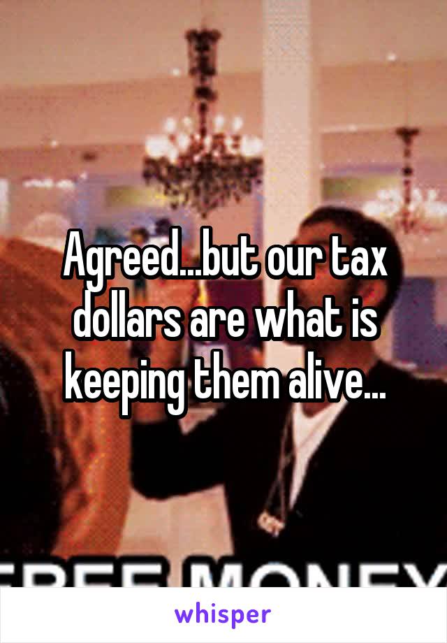 Agreed...but our tax dollars are what is keeping them alive...