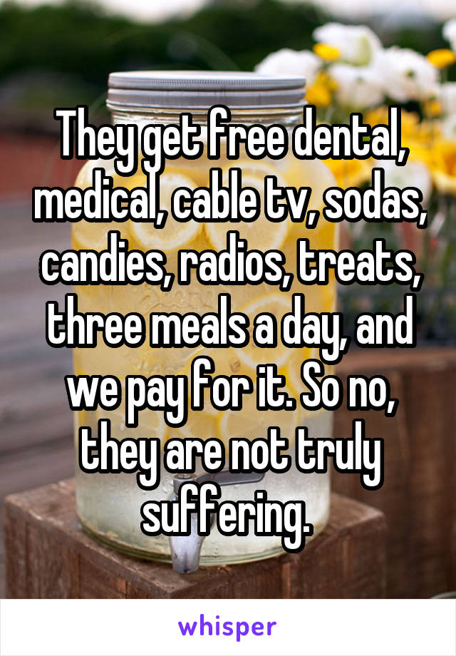 They get free dental, medical, cable tv, sodas, candies, radios, treats, three meals a day, and we pay for it. So no, they are not truly suffering. 