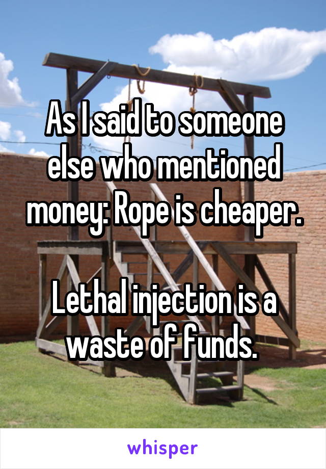 As I said to someone else who mentioned money: Rope is cheaper.

Lethal injection is a waste of funds. 