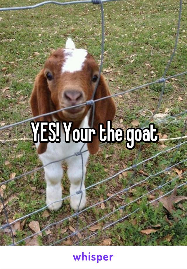 YES! Your the goat