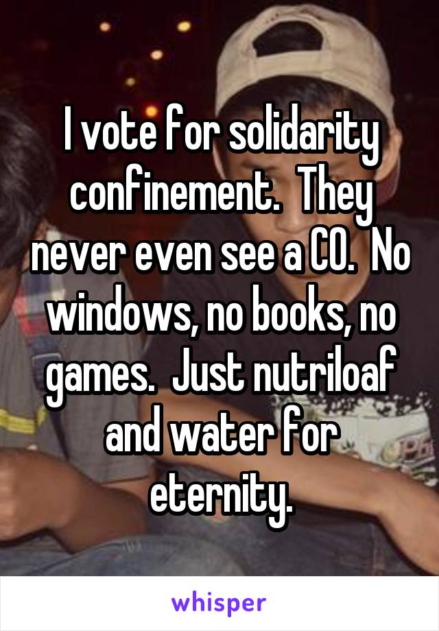 I vote for solidarity confinement.  They never even see a CO.  No windows, no books, no games.  Just nutriloaf and water for eternity.