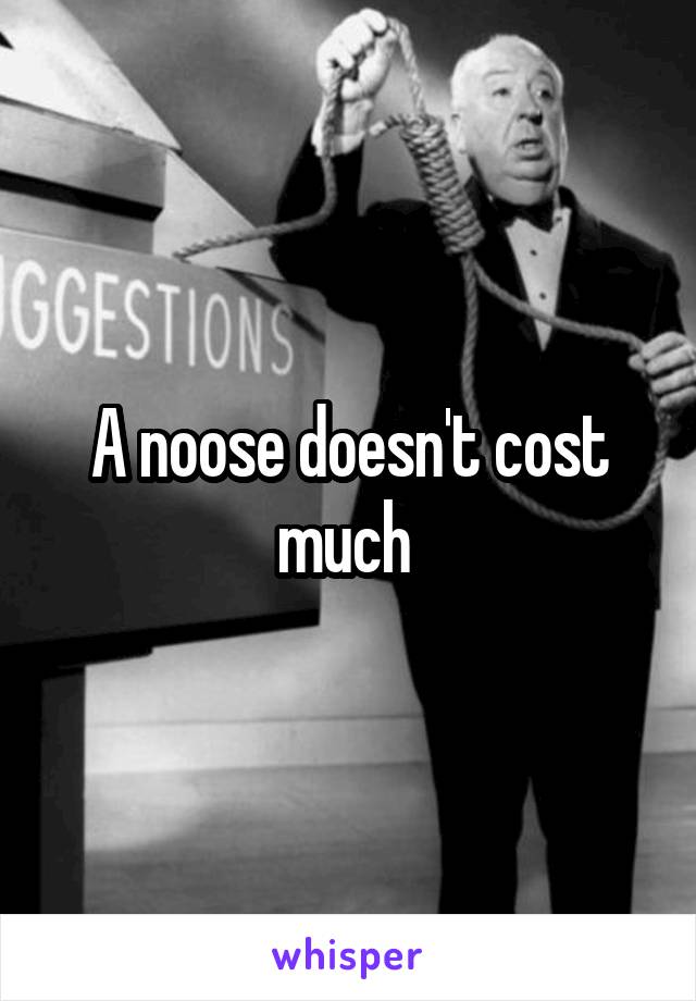 A noose doesn't cost much 