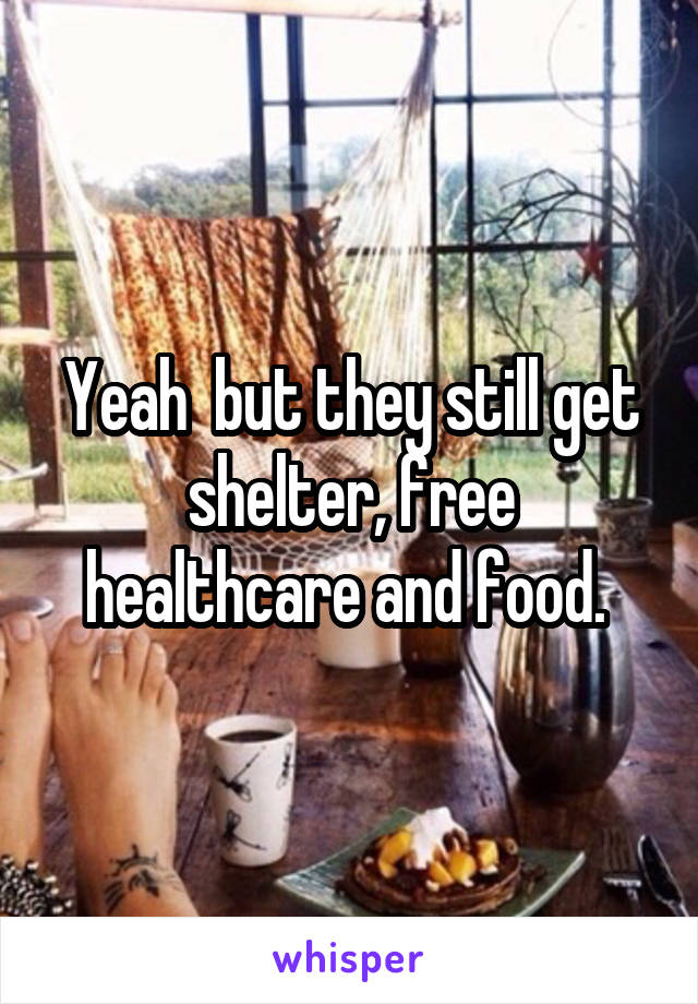 Yeah  but they still get shelter, free healthcare and food. 