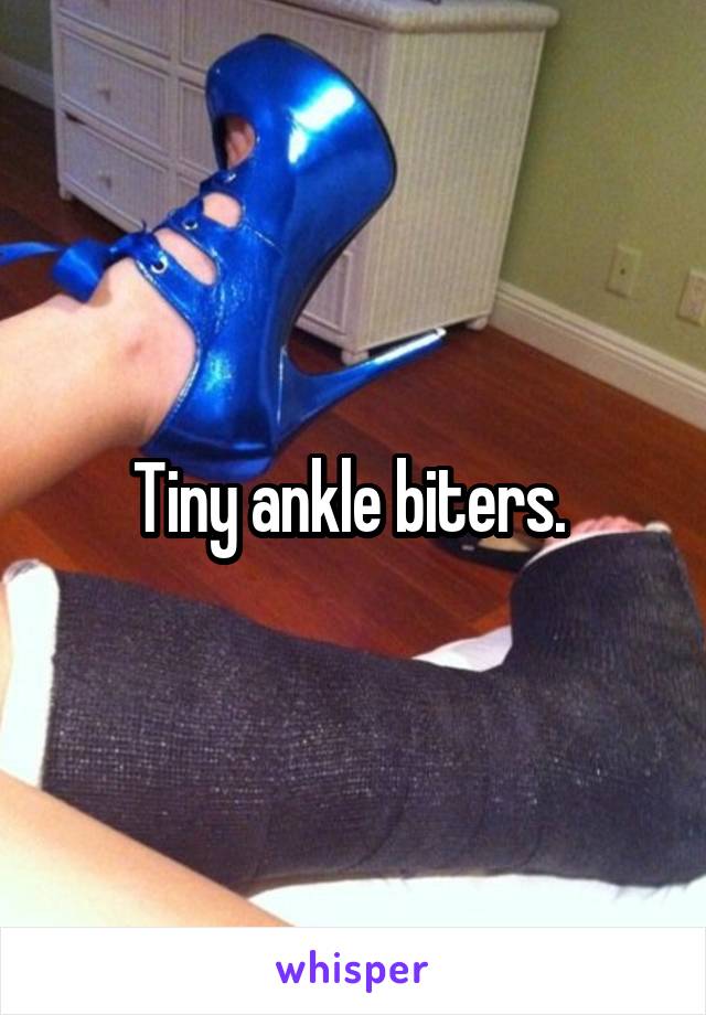Tiny ankle biters. 