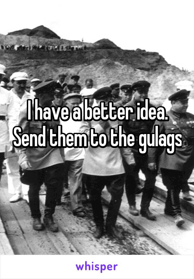 I have a better idea. Send them to the gulags 