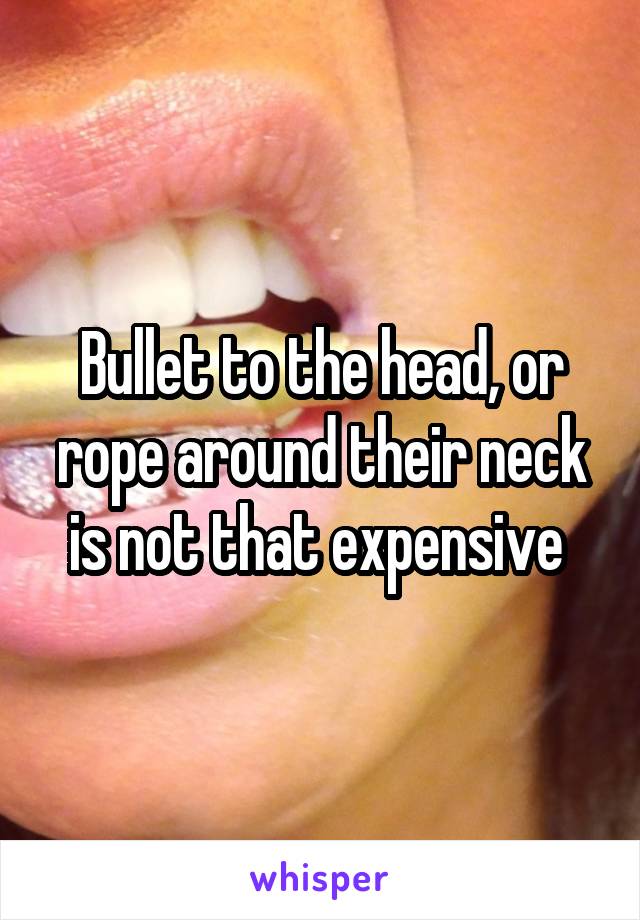 Bullet to the head, or rope around their neck is not that expensive 