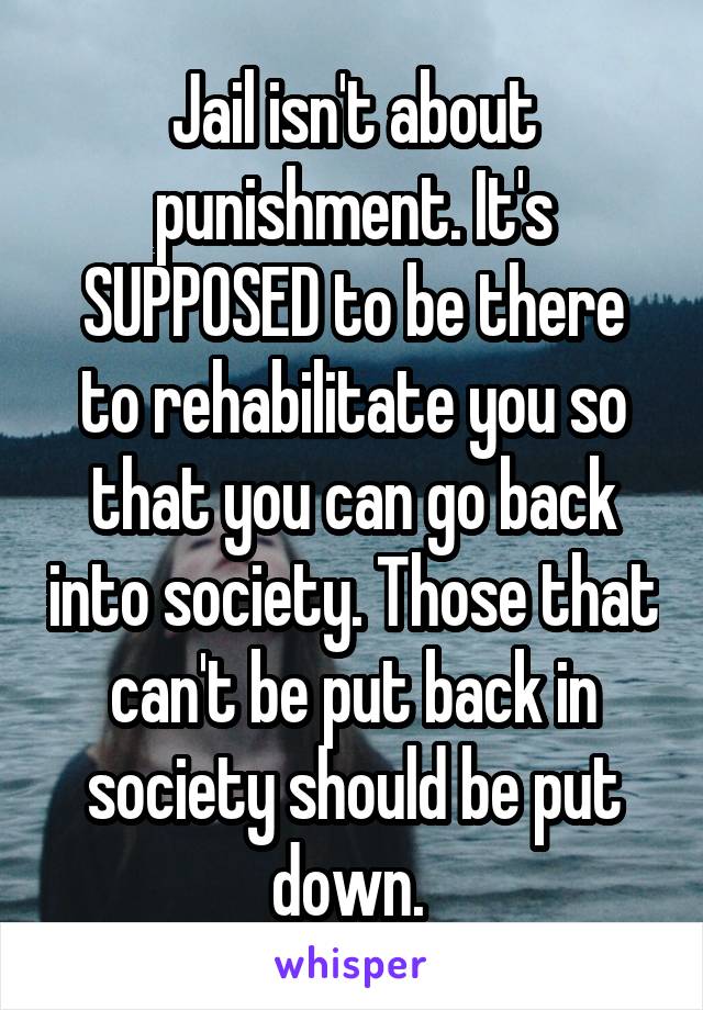 Jail isn't about punishment. It's SUPPOSED to be there to rehabilitate you so that you can go back into society. Those that can't be put back in society should be put down. 