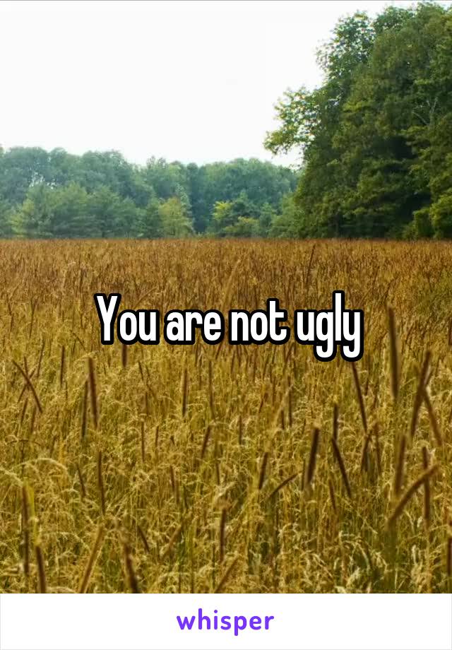 You are not ugly