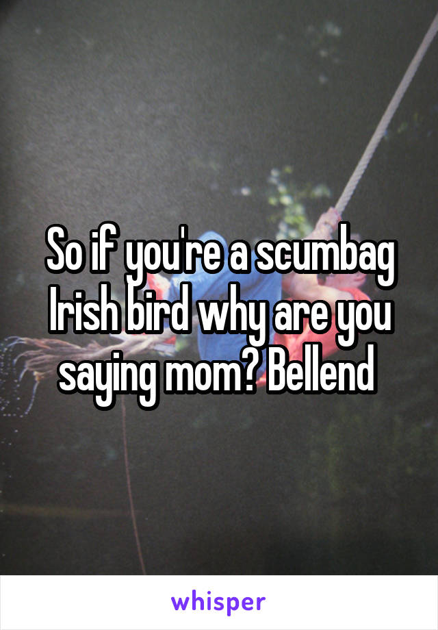 So if you're a scumbag Irish bird why are you saying mom? Bellend 