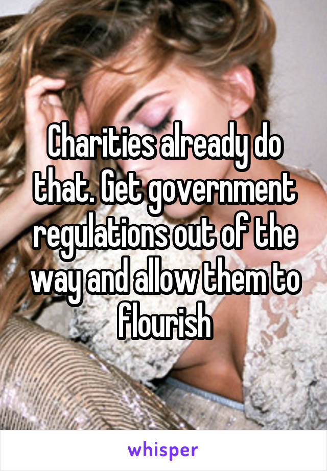 Charities already do that. Get government regulations out of the way and allow them to flourish