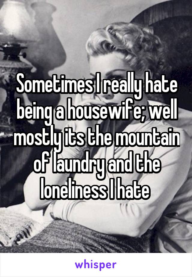 Sometimes I really hate being a housewife; well mostly its the mountain of laundry and the loneliness I hate 
