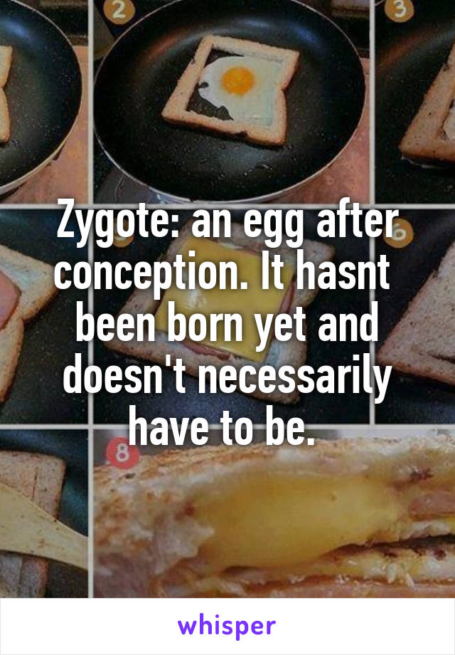 Zygote: an egg after conception. It hasnt  been born yet and doesn't necessarily have to be. 