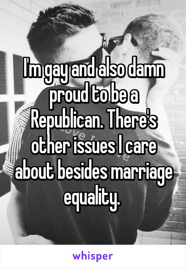 I'm gay and also damn proud to be a Republican. There's other issues I care about besides marriage equality. 