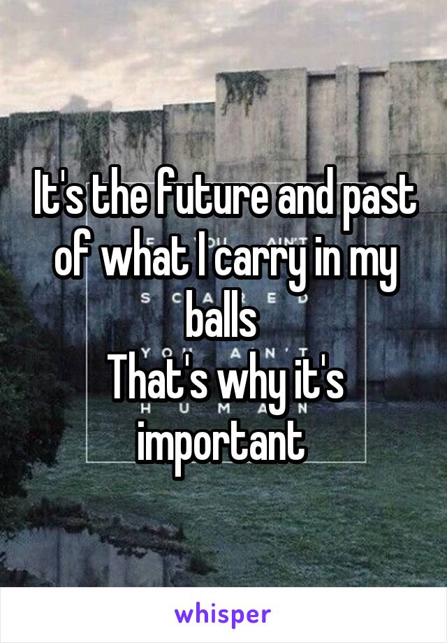 It's the future and past of what I carry in my balls 
That's why it's important 