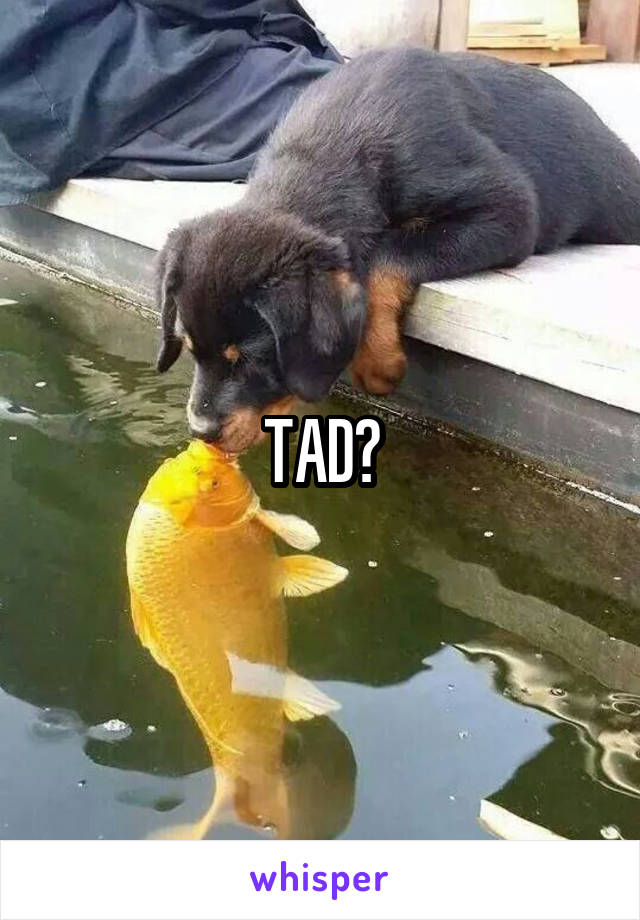 TAD?