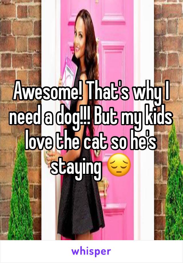 Awesome! That's why I need a dog!!! But my kids love the cat so he's staying 😔