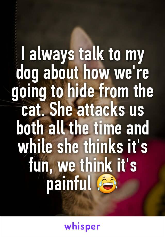 I always talk to my dog about how we're going to hide from the cat. She attacks us both all the time and while she thinks it's fun, we think it's painful 😂