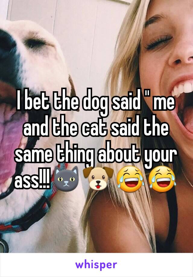 I bet the dog said " me and the cat said the same thing about your ass!!!🐱🐶😂😂