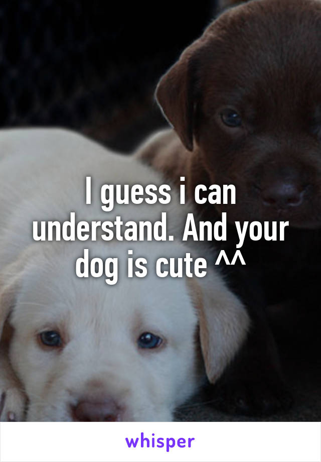 I guess i can understand. And your dog is cute ^^