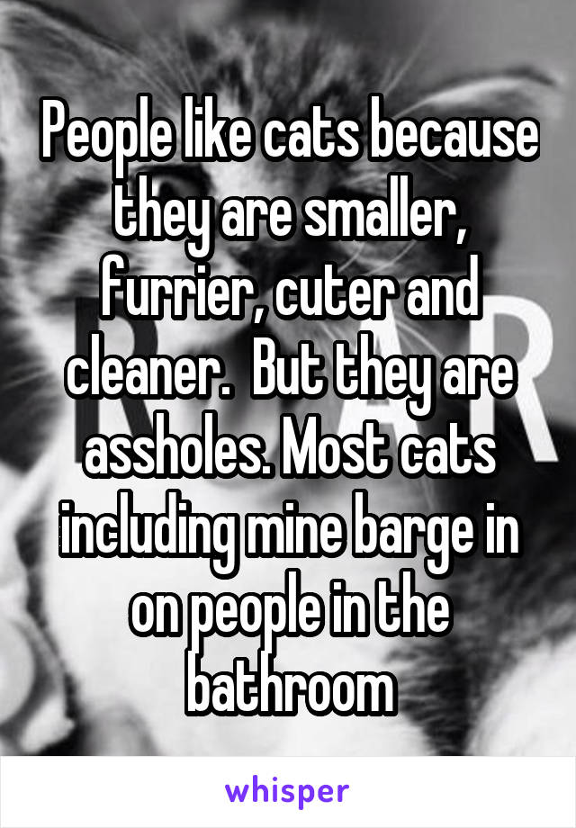 People like cats because they are smaller, furrier, cuter and cleaner.  But they are assholes. Most cats including mine barge in on people in the bathroom