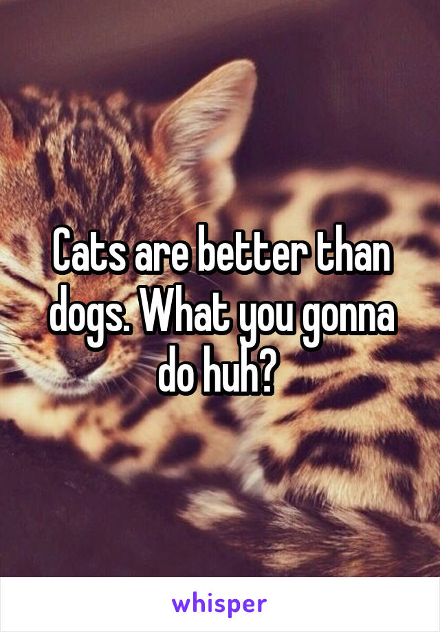 Cats are better than dogs. What you gonna do huh? 