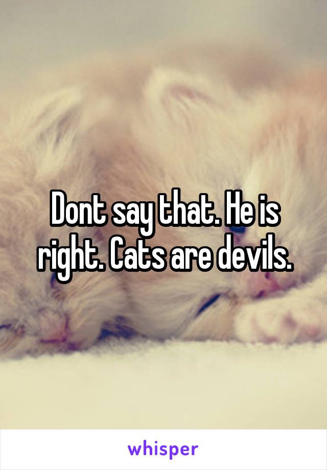 Dont say that. He is right. Cats are devils.
