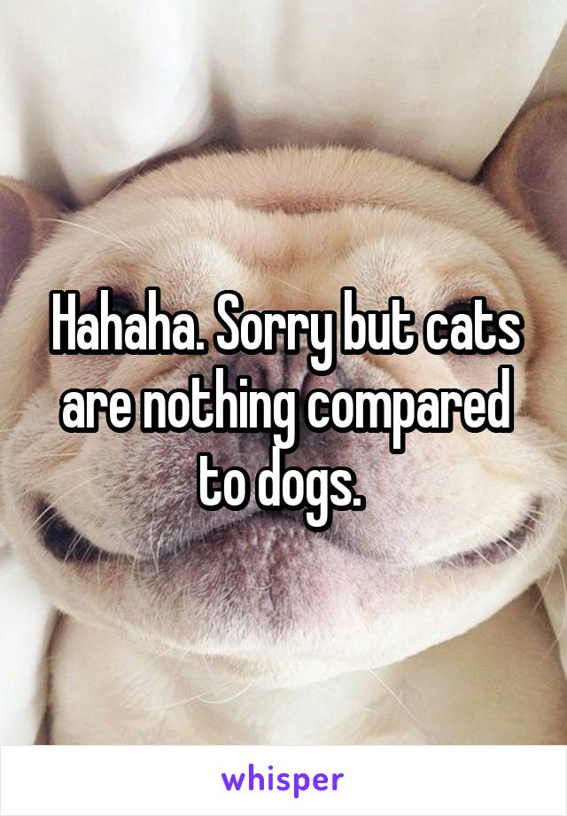 Hahaha. Sorry but cats are nothing compared to dogs. 