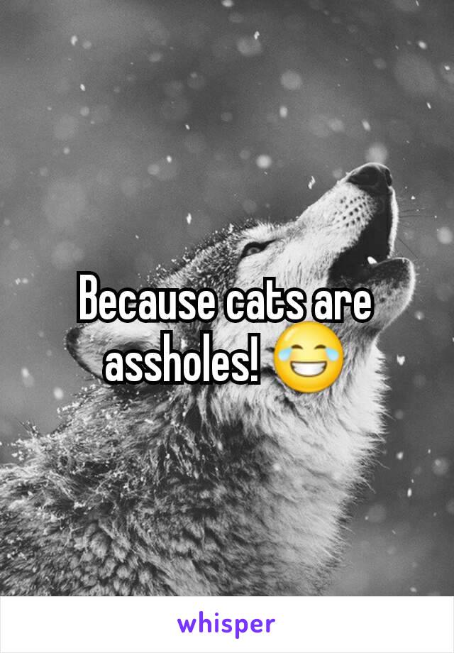 Because cats are assholes! 😂