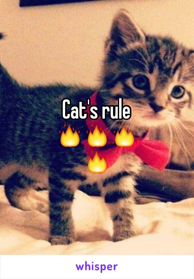 Cat's rule
🔥🔥🔥
🔥