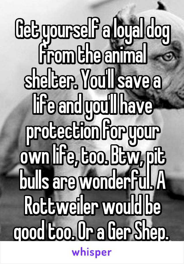 Get yourself a loyal dog from the animal shelter. You'll save a life and you'll have protection for your own life, too. Btw, pit bulls are wonderful. A Rottweiler would be good too. Or a Ger Shep. 