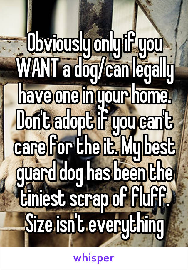 Obviously only if you WANT a dog/can legally have one in your home. Don't adopt if you can't care for the it. My best guard dog has been the tiniest scrap of fluff. Size isn't everything