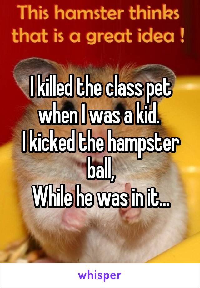 I killed the class pet when I was a kid. 
I kicked the hampster ball,
While he was in it...