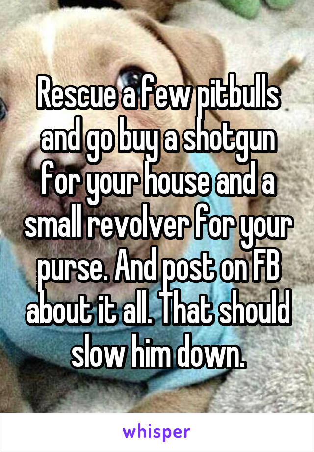 Rescue a few pitbulls and go buy a shotgun for your house and a small revolver for your purse. And post on FB about it all. That should slow him down.