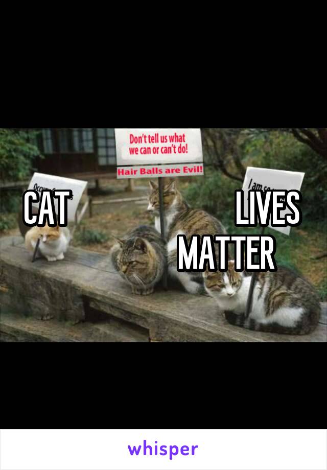 CAT                           LIVES                      MATTER