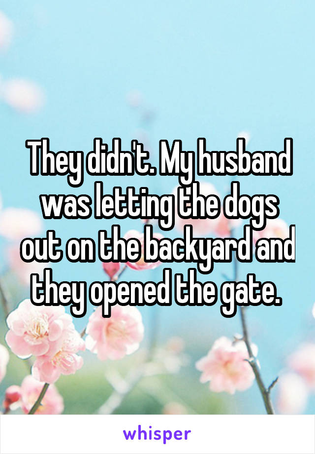 They didn't. My husband was letting the dogs out on the backyard and they opened the gate. 