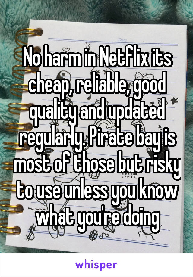 No harm in Netflix its cheap, reliable, good quality and updated regularly. Pirate bay is most of those but risky to use unless you know what you're doing