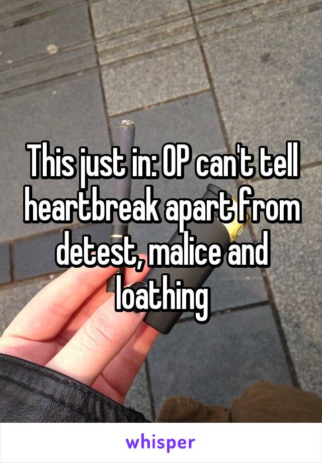 This just in: OP can't tell heartbreak apart from detest, malice and loathing