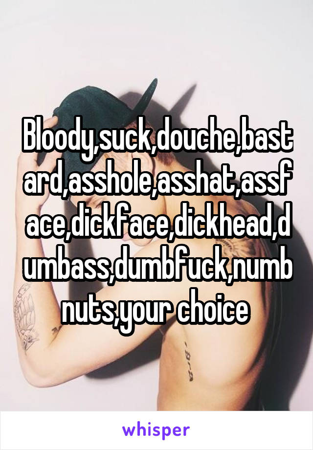 Bloody,suck,douche,bastard,asshole,asshat,assface,dickface,dickhead,dumbass,dumbfuck,numb nuts,your choice 