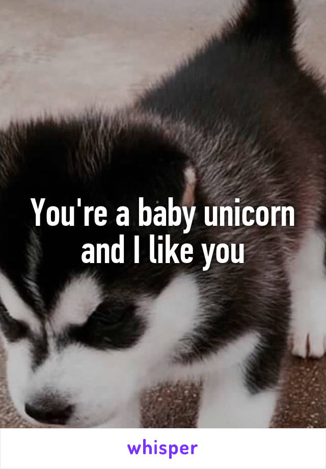 You're a baby unicorn and I like you