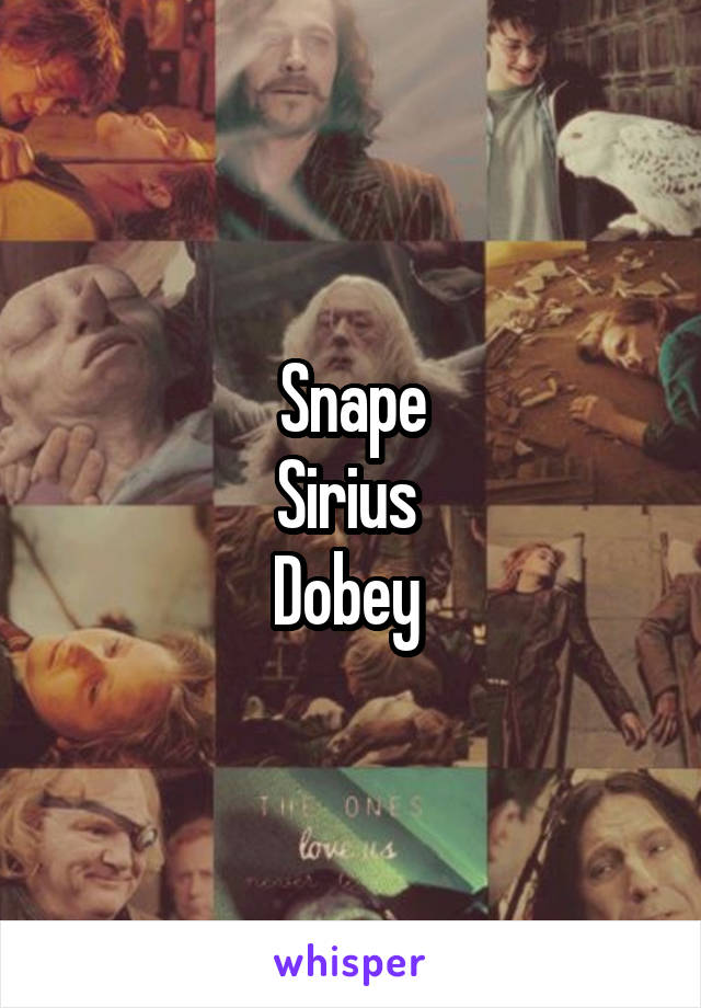 Snape
Sirius 
Dobey 