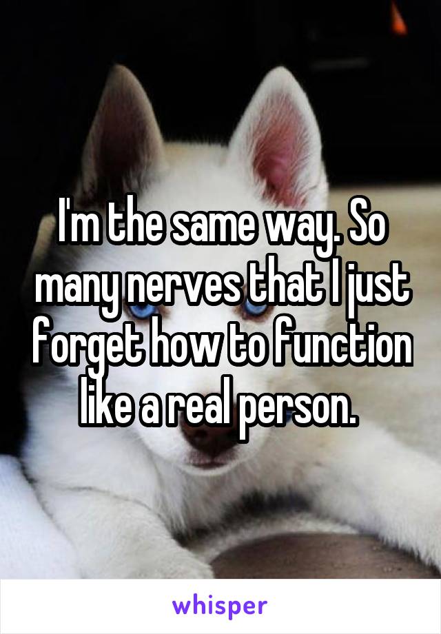I'm the same way. So many nerves that I just forget how to function like a real person. 